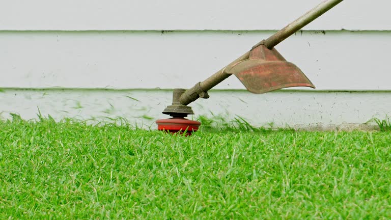 Best Pest Control for Lawns  in USA